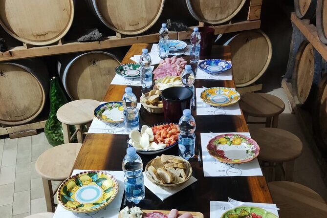 2-hour tasting of 5 wines in Sorrento - Production tour: from grapes to bottle in modern winemaking
