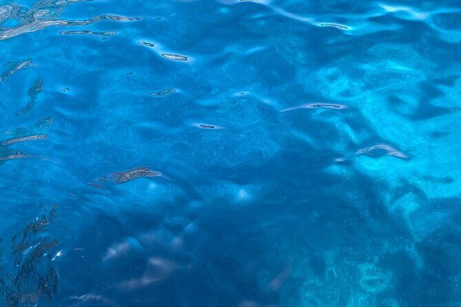 3-hour private boat tour of the island of Capri - Grotta Verde: Emerald Water, Two Entrances, and Real Swimming