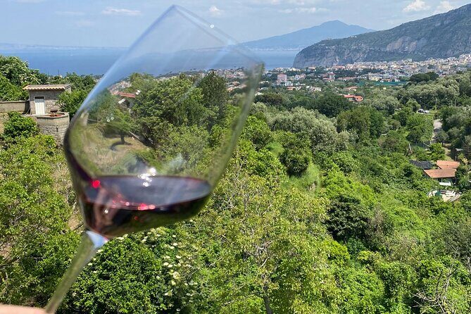 5 Wine Tastings with Typical Products in Sorrento Coast - Service That Actually Helps: Pickup, Drop-Off, and Real Guide Energy
