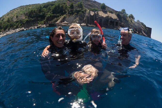 Afternoon snorkelling guided by a marine biologist in Sorrento - Key Highlights You’ll Care About