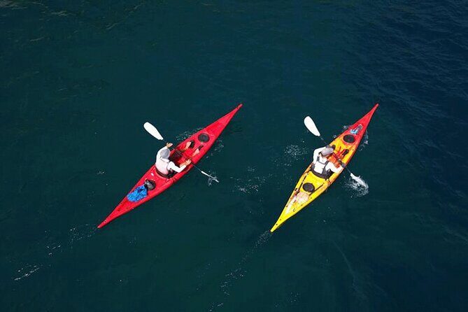 Amalfi Coast : Kayak-Snorkeling tour Pandora Cave & Hidden beach - Entering the day from Maiori, not from a cruise dock