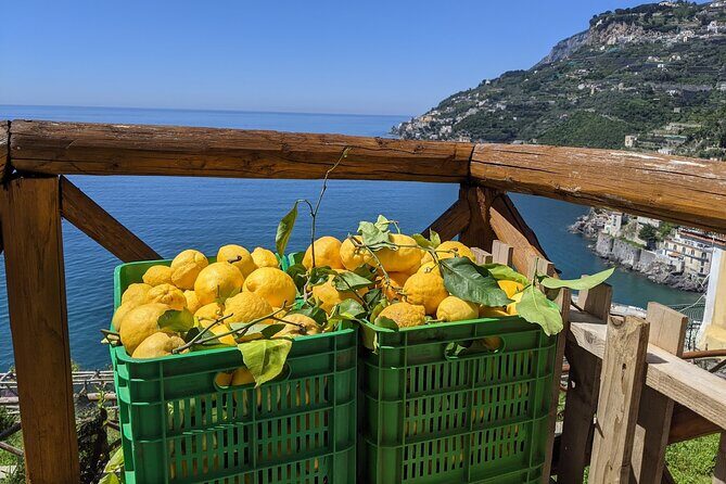 Amalfi Coast - Maiori: Path of Lemons Tour with Tasting - Sentiero dei Limoni: walking from Maiori to Minori’s main square