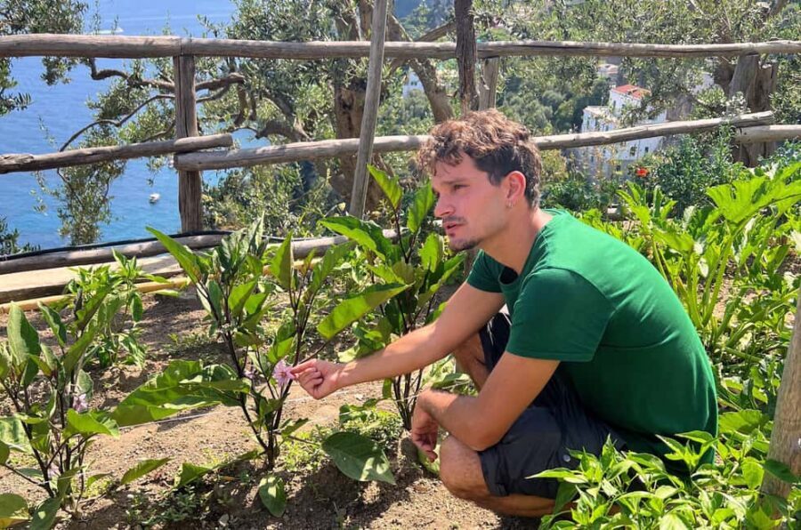 Amalfi Coast: Pizza & Mozzarella Class with Farmhouse visit - Stretch, top, and bake in a wood-fired oven with sea views