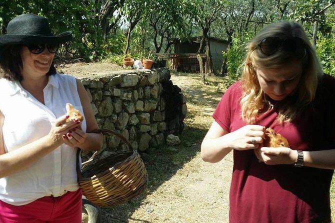 Amalfi Coast & Sorrento Cooking Class School at Farmhouse - Value: Why This Is More Than a Cooking Demo