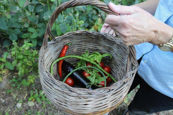 Amalfi Coast & Sorrento Cooking Class School at Farmhouse - Breakfast Is More Than a Warm-Up: Pastries, Coffee, and Farm-Scale Comfort