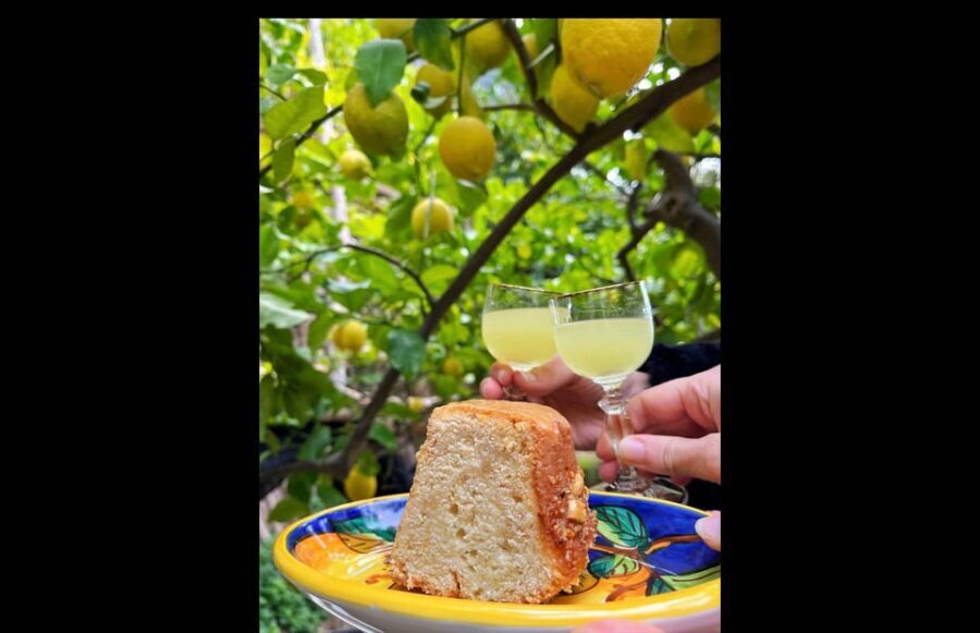 Amalfi Organic Lemon Tour & Tasting in the Historical Garden - Walking through the groves, then pausing for the Amalfi view