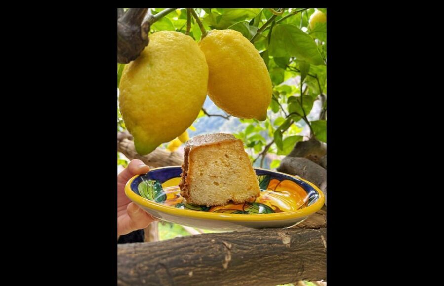 Amalfi Organic Lemon Tour & Tasting in the Historical Garden - Group size and guide style: small and personal usually wins