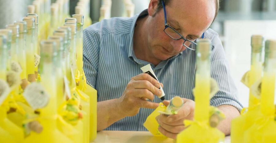 Amalfi: Vertical Lemon Farm Tour, Tastings, and Rural Museum - Why Amalfi’s Vertical Lemon Groves Feel Different