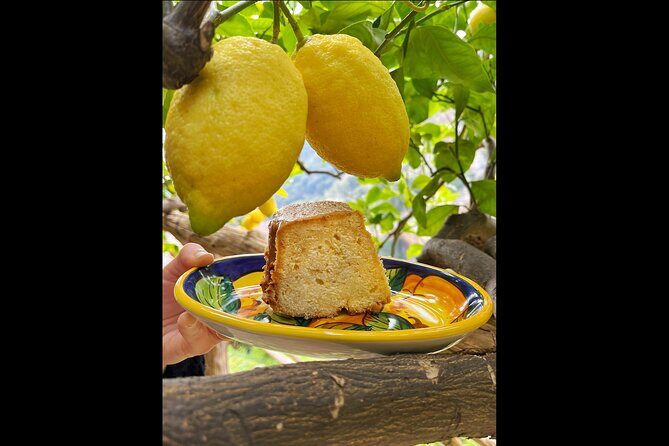 Authentic Amalfi Lemon Tour & Tasting in the Historical Garden - The Sea View Break: Where the Photos Make Sense