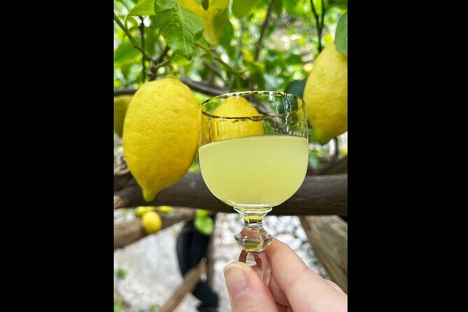 Authentic Amalfi Lemon Tour & Tasting in the Historical Garden - The Tasting: Organic Lemonade, Limoncello, and Lemon Cake