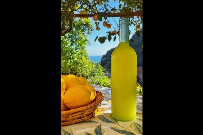 Authentic Amalfi Lemon Tour & Tasting in the Historical Garden - Price and Value: Why $49.48 Can Make Sense Here