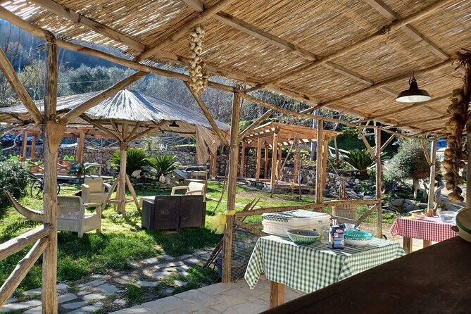 Authentic Farm Tour with Pizza, Cheese, Wine & Limoncello Tasting - The farm tour: animals, seasonal crops, and a welcome drink