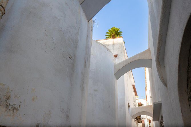 Capri and Blue Grotto Day Tour from Naples or Sorrento - Jetfoil to Capri: the best way to start your day (and avoid fatigue)