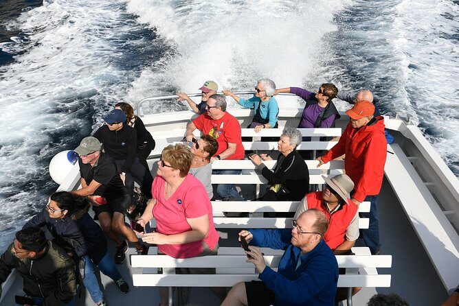 Capri Coast to Coast: Boat Tour with Optional Blue Grotto - What You Pay For: Value Breakdown Beyond the Sticker Price