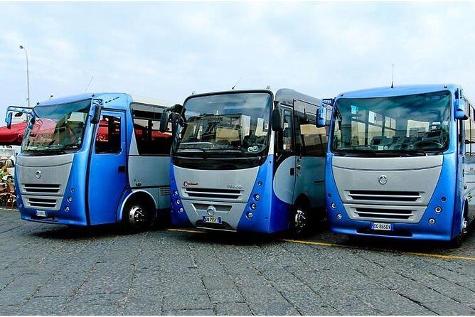 CAPRI - DIY Day Trip Package - BoatTour, BlueGrotto,Bus&Lunch - Price and Value: Is $131.26 a Smart Spend?