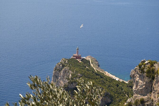 Capri Island and Blue Grotto Small Group Day Tour from Capri Port - Blue Grotto: the magic window and the line reality