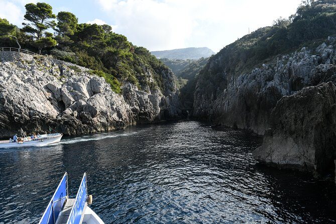 Capri One Day: Visit the Island by Sea and Land with Blue Grotto - Best fit: who this Sorrento to Capri day trip is for
