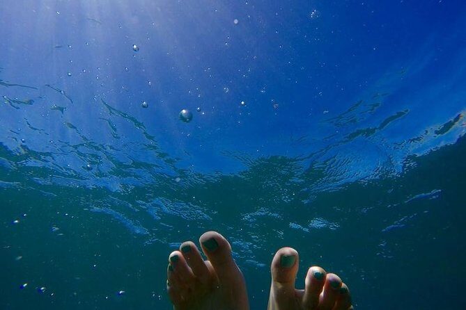 Capri Private Boat Tour from Positano, Praiano or Amalfi - Punta Campanella marine park: the swim-and-snorkel payoff