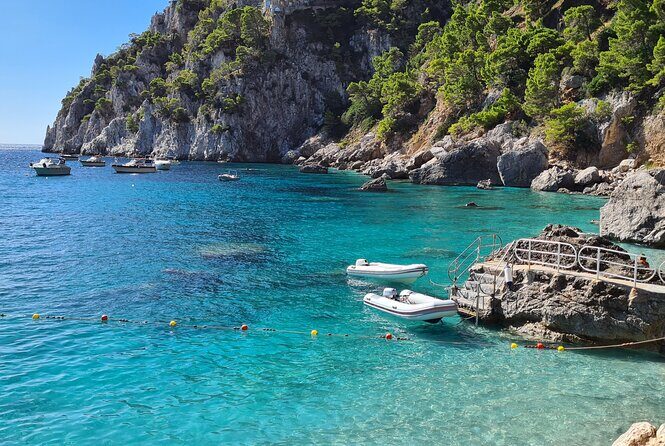 Capri Small-Group Boat Day Tour from Sorrento - Price and the fees that can change your final total