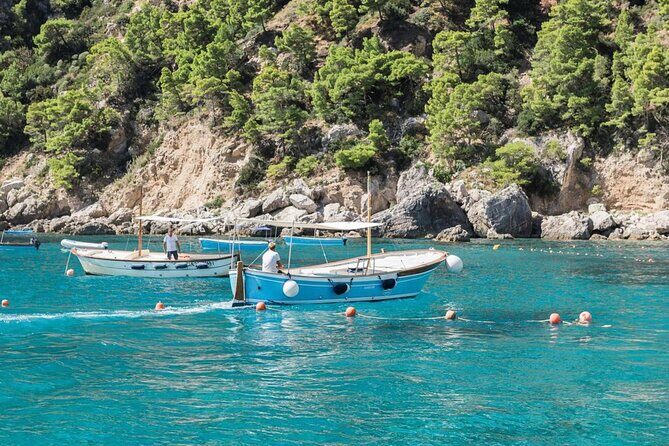 Capri tour with "Gozzo" (3 hours) - Key points to know before you go
