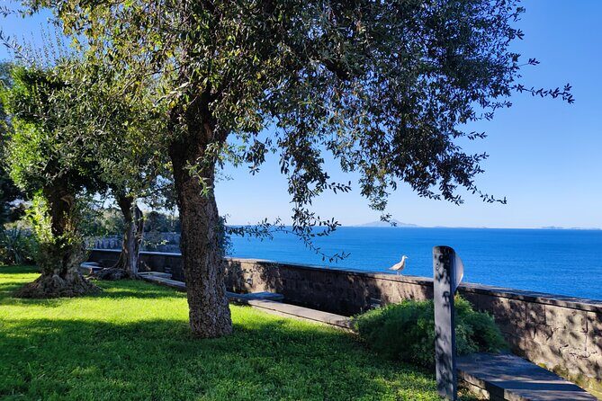 Car Tour admiring Capri and visiting Positano - Positano’s 1-hour window: shopping, stairs, and beach time