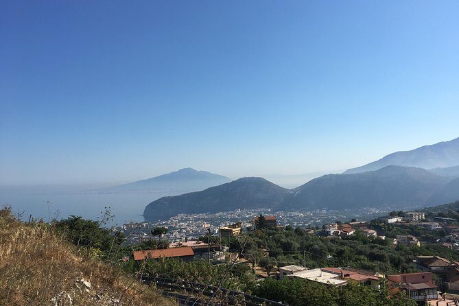 Classic Amalfi Coast Tour - Price and value: what $287.94 is really buying