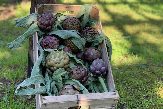 Cook and Eat in a Citrus Grove in Sorrento - Should You Book Cook and Eat in a Citrus Grove in Sorrento?