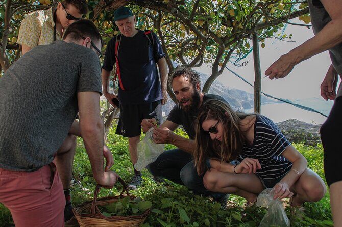 Cooking Class with garden visit - Price and value: what $193.09 buys you on the coast