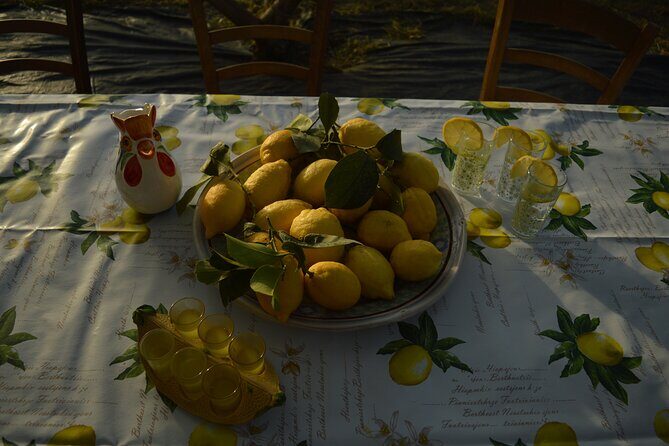 Discovery Tour of Sorrento Lemon in Massa Lubrense - Key points before you go