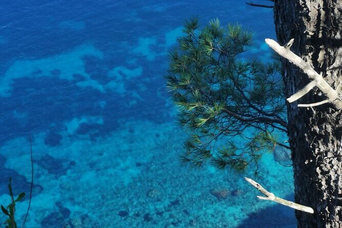 Exclusive Private Boat Tour to capri & Amalfi coast from Sorrento - Price, Extras, and Value: What You’re Really Paying For
