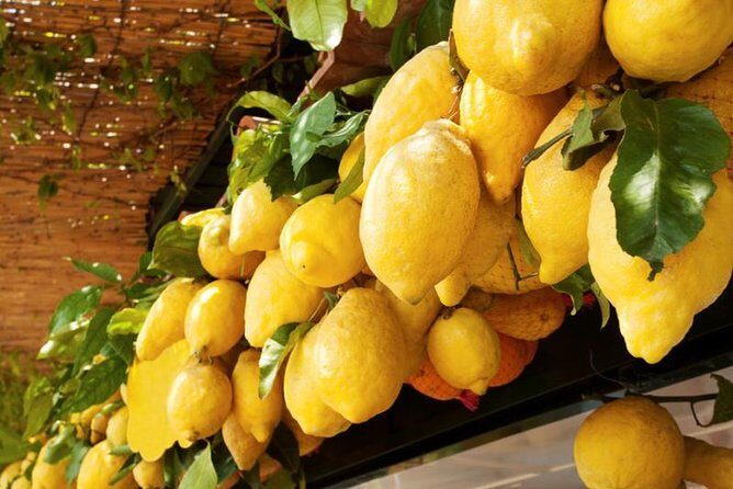 Farm-to-Table Experience: Olive Oil, Garden Tour & Nonna’s Lunch - Guide and Group Vibe: Small-Group Attention That Feels Human