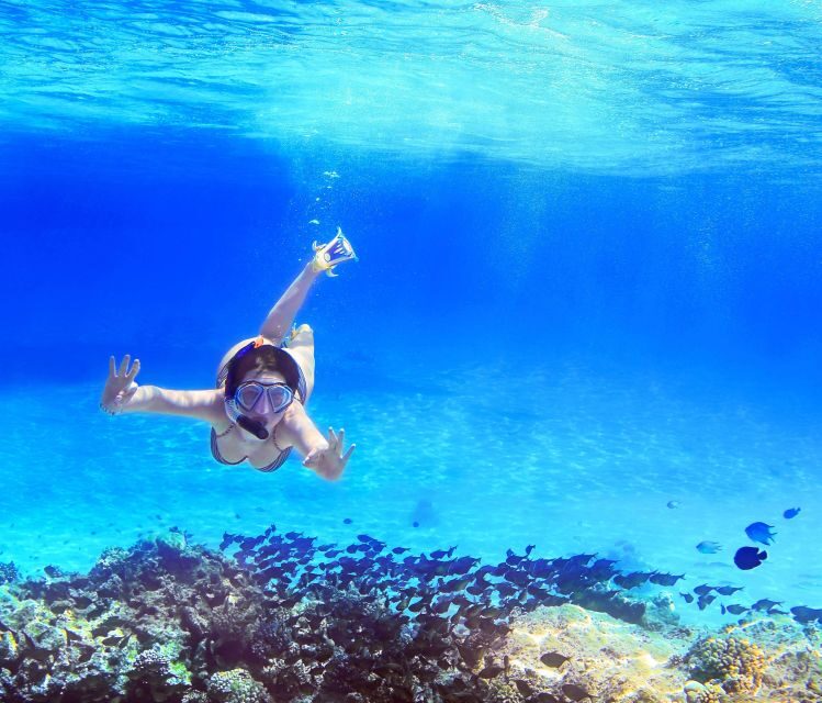 From Amalfi: Capri Island Boat Tour with Snorkeling & Drinks - The itinerary’s best part: snorkeling stops and sea caves