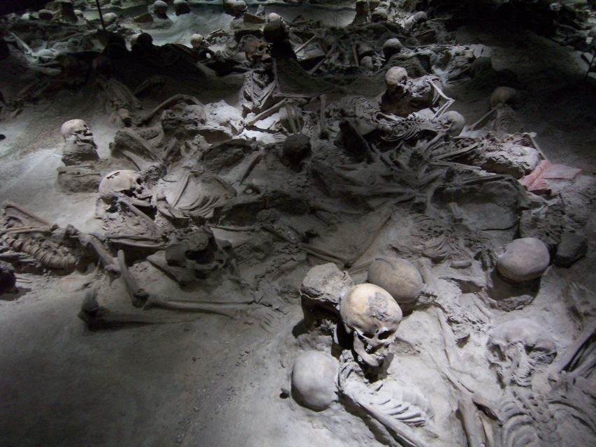 From Amalfi Coast: Pompeii Herculaneum skip-the-line - Key Points Worth Booking For