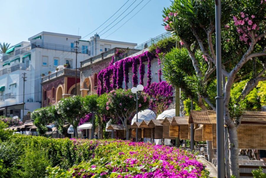 From Naples: Capri, Anacapri, and Blue Grotto Full-Day Trip - La Piazzetta and Marina Grande: Coffee, Shopping, and the Endgame