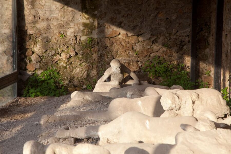 From Positano: Pompeii Guided Tour with Skip the Line - A sample flow of your day, stop by stop