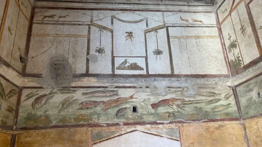 From Positano: Pompeii, Vesuvius, & Wine Tasting with Lunch - Pompeii’s two-hour guided tour: how to use that time well