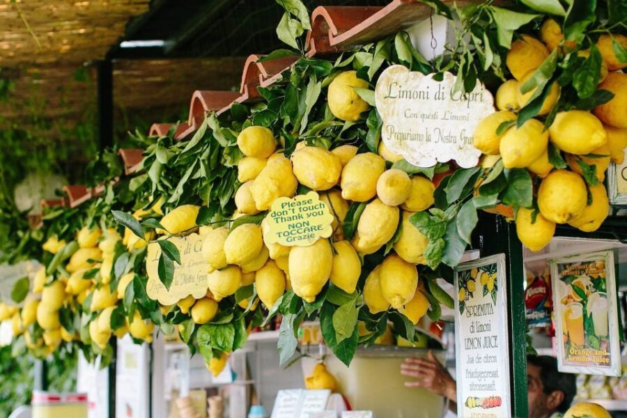 From Positano: Sorrento Coast & Capri Full-Day Trip by Boat - Transfers, fees, and the real value of the price
