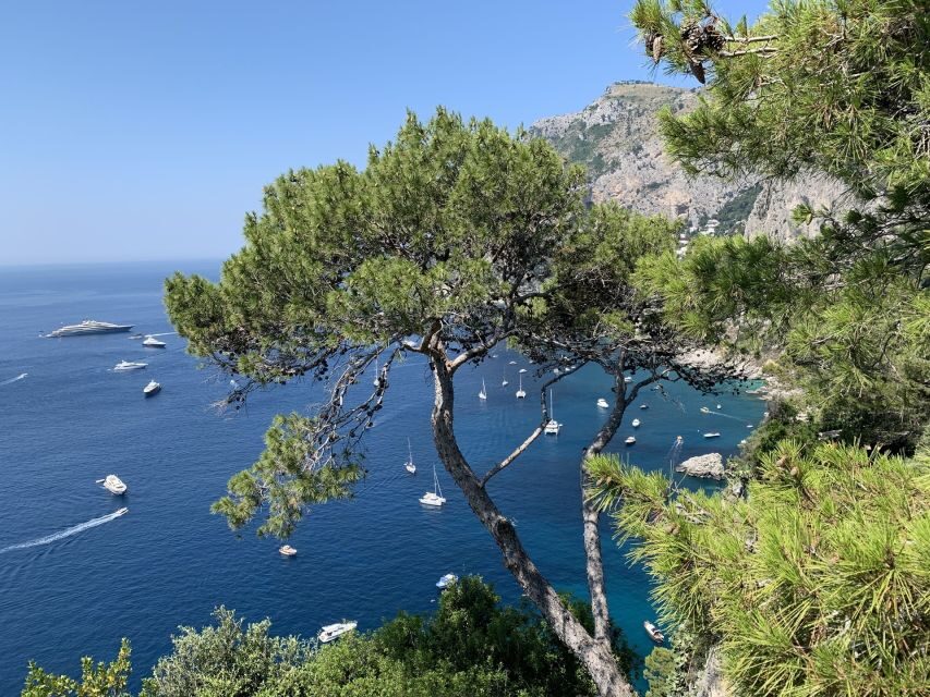 From Sorrento: Day Trip to Capri & Anacapri with Blue Grotto - Capri in motion: speedboat start from Molo ’52