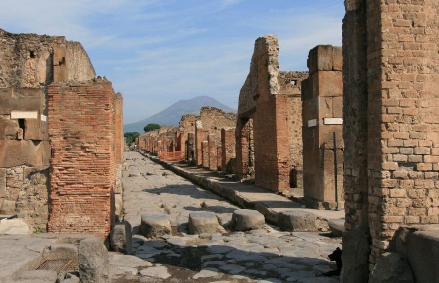 From Sorrento: Herculaneum and Pompeii Group Excursion - Pompeii’s streets, baths, forums, and villas you’ll want to aim for
