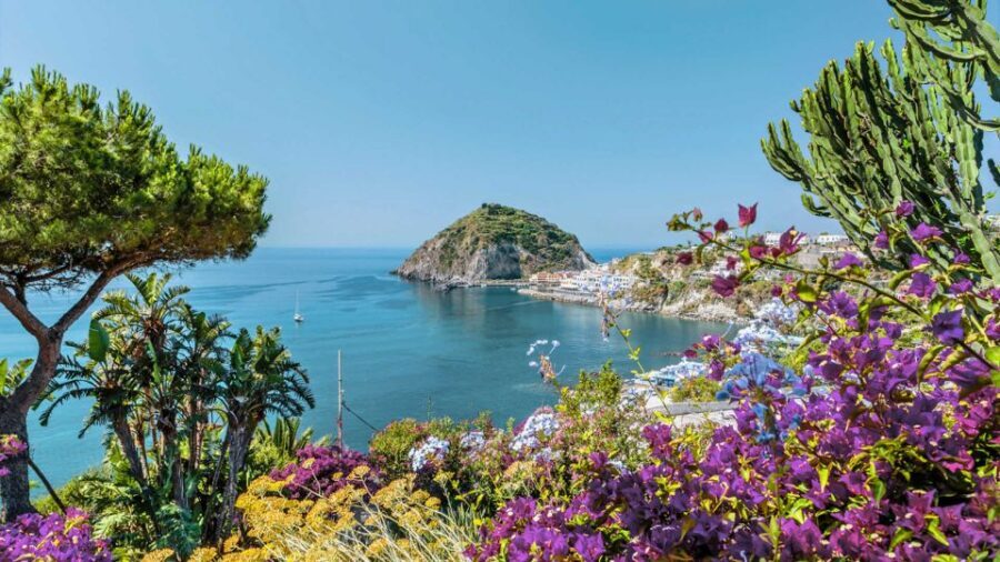 From Sorrento: Ischia and Procida Boat Tour - Ischia Free Time: How to Use 3–4 Hours Without Rushing