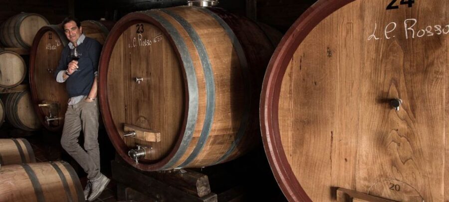 From Sorrento: Mount Vesuvius Tour with Lunch & Wine Tasting - Price And Value Versus DIY Vesuvius