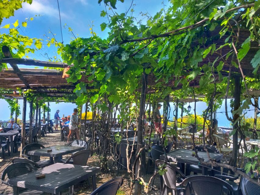 From Sorrento: Mount Vesuvius Tour with Lunch & Wine Tasting - Who This Tour Fits Best (And Who Should Skip It)