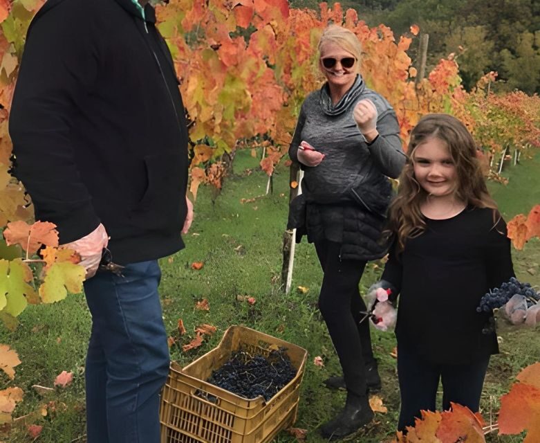 From Sorrento & Naples: Cortecorbo Wine & Cooking Experience - Lunch in the countryside: six wines and a menu built for pairing