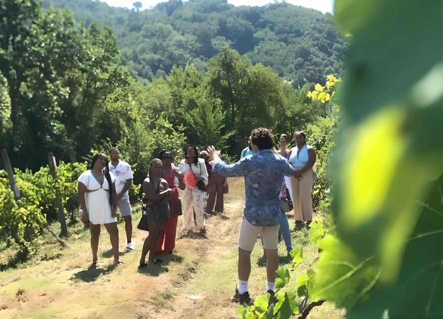From Sorrento & Naples: Cortecorbo Wine & Cooking Experience - Who should book Cortecorbo (and who should skip it)