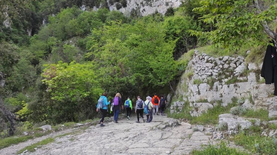 From Sorrento: Path of the Gods Hike with Tasting Stop - Views That Don’t Get Old: From Sorrento to Punta Campanella