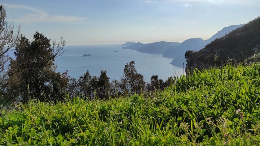 From Sorrento: Path of the Gods Hike with Tasting Stop - Who This Tour Is Best For (and Who Should Skip It)