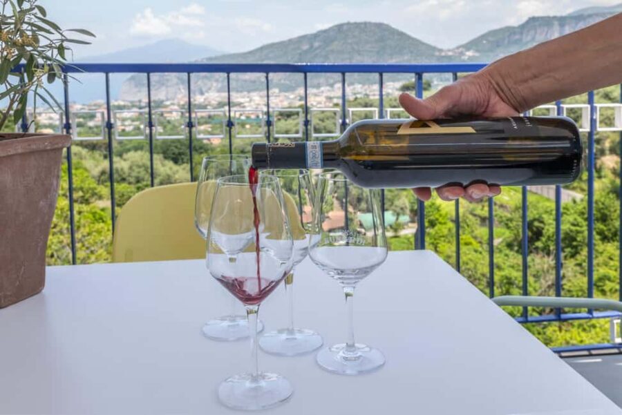 From Sorrento: Pizza-Making Class w/ View of Mount Vesuvius - Should you book this Sorrento pizza-making class?