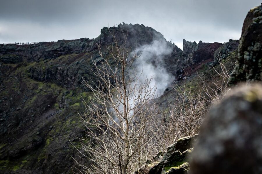 From Sorrento: Pompeii and Vesuvius Guided Tour with Lunch - FAQ