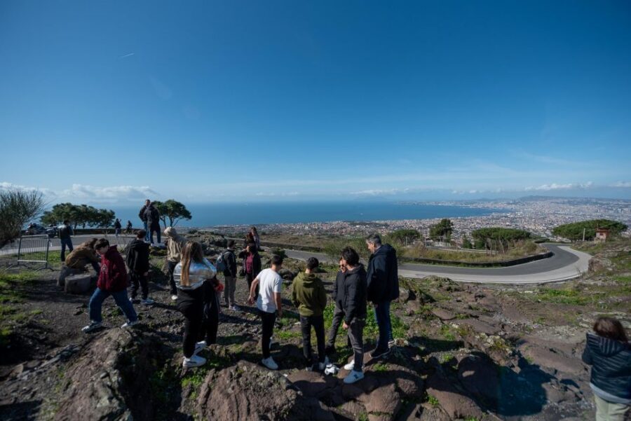 From Sorrento: Pompeii and Vesuvius Guided Tour with Lunch - Value check: is $130.28 a smart deal?