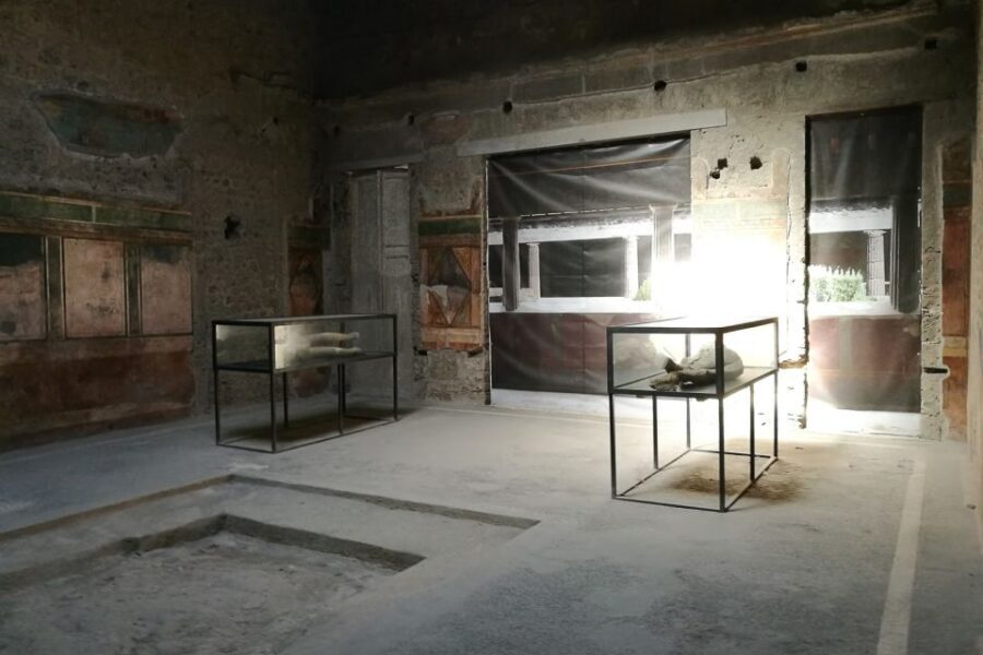 From Sorrento: Pompeii and Vesuvius Tour - Key moments that make this tour work